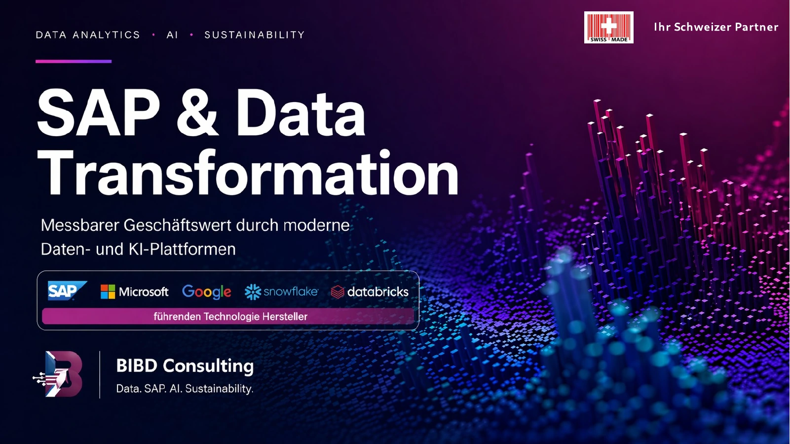 BIBD Consulting – SAP & Data Transformation